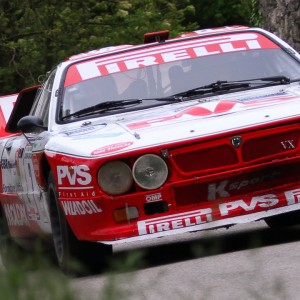 Video Rally campagnolo 2015