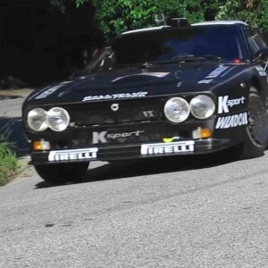 Video Rally Alpi Orientali 2014