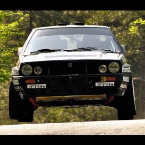 Rally Campagnolo: il video di Vivamedan Rally