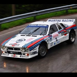 Rally Dolomiti: il video di Vivamedan