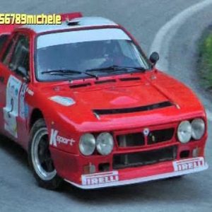 Valsugana: il video di 123456789michele