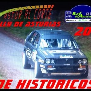 Rally Asturias: video