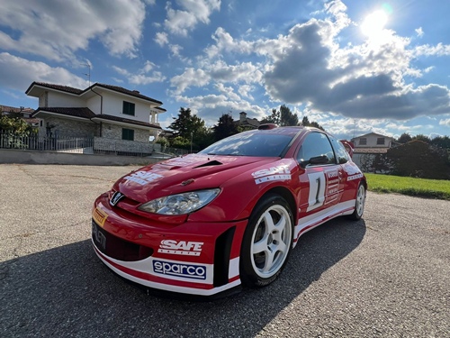 La Peugeot 206 WRC con cui Pedro-Tiraboschi hanno preso parte al Rallylegend